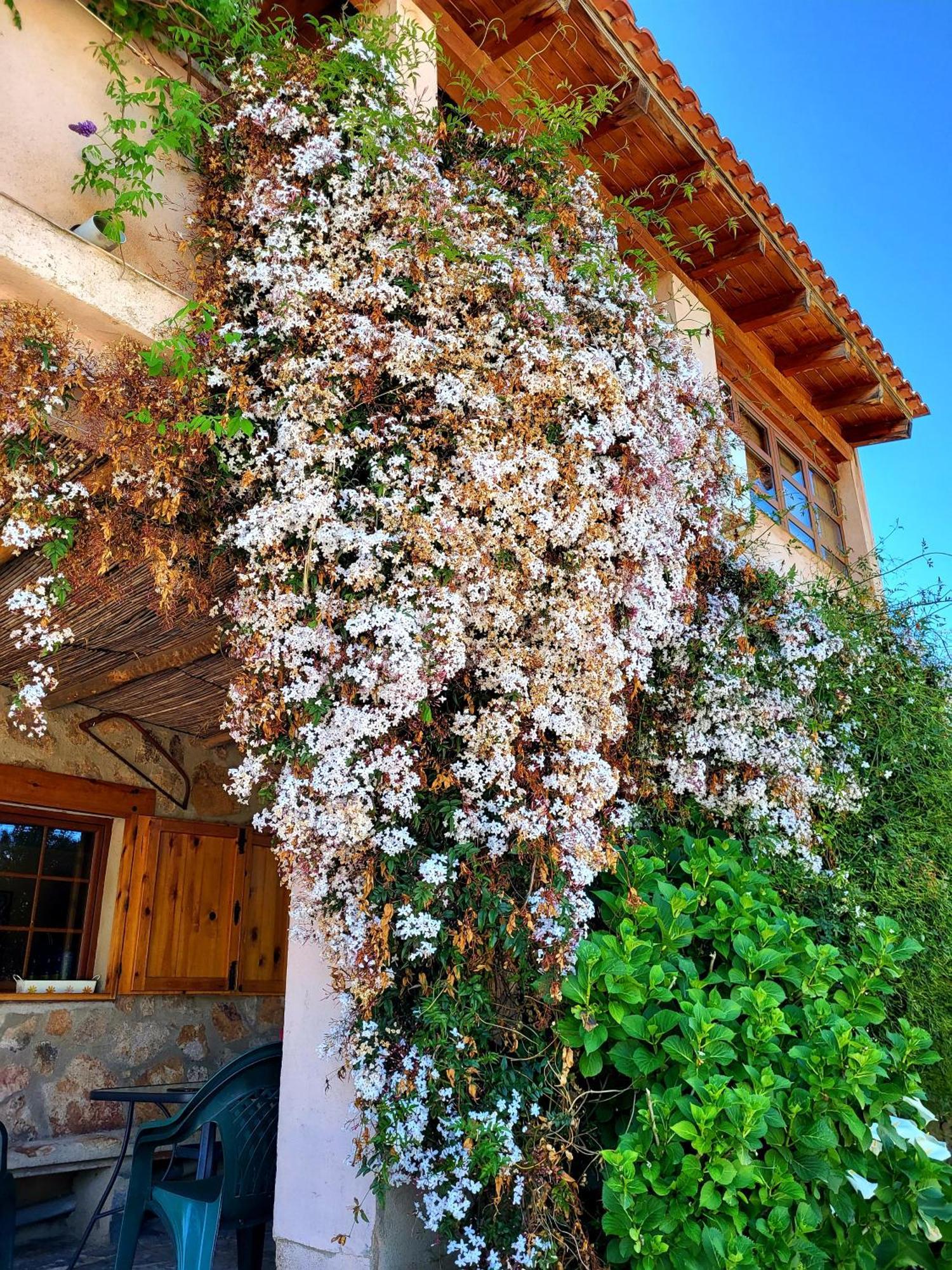 Casa Rural Balcon Del Camino Viejo Valencia de Alcántara Extérieur photo